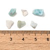 Natural Larimar Chip Beads G-Q193-01A-3