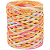 6 Colors Raffia Paper Cords OCOR-WH0063-110A-6