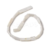 Natural Freshwater Shell Beads Strands BSHE-H018-03-2