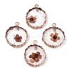 Transparent Clear Epoxy Resin & Dried Flower Pendants LS-RESI-S383-075-D02-1
