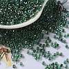 Glass Seed Beads SEED-S042-13A-18-1
