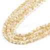 Natural Trochus Shell Beads Strands BSHE-G036-08B-02-3