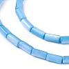 Natural Freshwater Shell Dyed Beads Strands X-SHEL-M018-11-06-3