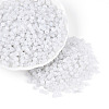 6/0 Glass Seed Beads SEED-N008-07N-1
