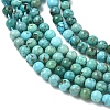 Natural HuBei Turquoise Beads Strands G-P629-D01-01-4