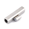 Tarnish Resistant 304 Stainless Steel Magnetic Clasps with Glue-in Ends STAS-F276-05P-3