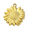Ion Plating(IP) 304 Stainless Steel Pendants STAS-K293-06G-1
