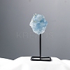 Natural Kyanite Lamp with Metal Holder Ornament PW-WG598C7-06-1