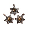 Natural Tiger Eye Pendants G-A297-06R-21-1