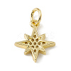 Brass Micro Pave Cubic Zirconia Charms ZIRC-F132-02G-2