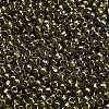 TOHO 8/0 Round Beads SEED-XTR08-0457-2