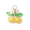 6Pcs 6 Styles Natural Amethyst & Carnelian & Mashan Jade & Malaysia Jade Cherry Pendants PALLOY-MZ00821-3
