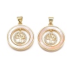 Brass Micro Pave Clear Cubic Zirconia Pendants KK-N254-189G-1