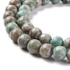 Natural Maifanite/Maifan Stone Beads Strands G-P451-01B-D-4