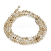 Watermelon Stone Glass Beads Strands G-Z116-A23-3mm-3