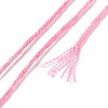 10 Skeins 6-Ply Polyester Embroidery Floss OCOR-K006-A09-3