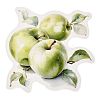 10Pcs Fruit PET Self-Adhesive Stickers DIY-K074-08E-3