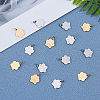 201 Stainless Steel Pet Charms STAS-UN0019-49-3