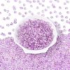Transparent Glass Seed Beads SEED-N014-01A-04-2