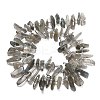 Natural Labradorite Beads Strands G-Z124-C01-01-3