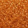 TOHO 8/0 Round Beads X-SEED-TR08-0002B-2