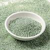 MIYUKI Round Rocailles Beads SEED-X0056-RR2354-2