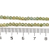 Natural Green Apatite Beads Strands G-F770-C03-02-5