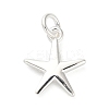 925 Sterling Silver Charms FIND-Z069-04S-A-1