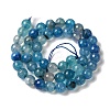 Dyed & Heated Natural Dragon Veins Agate Beads Strands G-P539-A01-03-3
