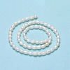 Natural Cultured Freshwater Pearl Beads Strands PEAR-J006-10D-02A-3