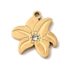 304 Stainless Steel Pendants STAS-K297-02B-G-1