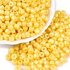 Baking Paint Pearlized Glass Seed Beads SEED-T008-03D-1