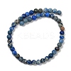 Dyed Natural Regalite/Imperial Jasper/Sea Sediment Jasper Beads Strands G-B124-C04-02-4