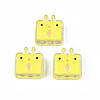 Transparent Acrylic Beads ACRC-S039-10C-1