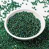 MIYUKI Round Rocailles Beads LS-X-SEED-G008-RR0354-2