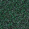 MIYUKI Round Rocailles Beads SEED-X0054-RR4507-2
