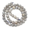 Natural Labradorite Beads Strands G-L642-F07-8mm-3
