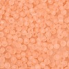FGB Frosted Transparent Glass Seed Beads SEED-N013-04A-04-3