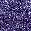 MIYUKI Round Rocailles Beads SEED-G008-RR0432-3