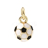 3D Brass Enamel Charms KK-CBAEEA8-01G-1