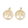 Brass Micro Pave Cubic Zirconia Pendants ZIRC-L076-043G-1