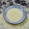 MIYUKI Delica Beads SEED-X0054-DB1676-2
