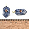 Natural Blue Spot Jasper Pendants KK-CBAF9BC-20G-04-3