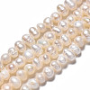 Natural Cultured Freshwater Pearl Beads Strands PEAR-N013-04B-3