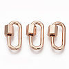 Brass Screw Carabiner Lock Charms KK-T047-08RG-1