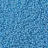 MIYUKI Round Rocailles Beads SEED-X0055-RR0221-3