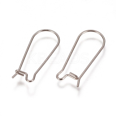 Tarnish Resistant 304 Stainless Steel Hoop Earrings Findings Kidney Ear Wires LS-STAS-L216-22B-P-1