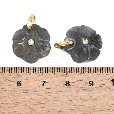 Natural Labradorite Pendants GG-NH0016-01G-09-1