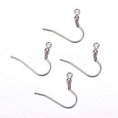 Tarnish Resistant 304 Stainless Steel Earring Hooks STAS-F117-23P-1