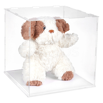 Acrylic Display Boxes CON-WH0123-27B-1